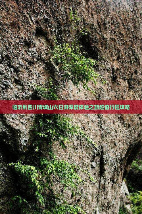临沂到四川青城山六日游