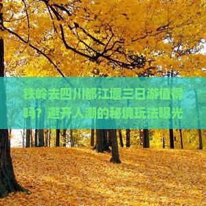 铁岭去四川都江堰三日游