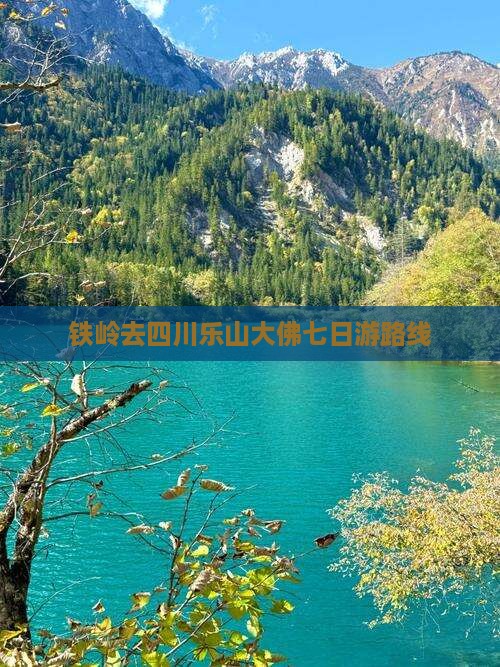 铁岭去四川乐山大佛七日游