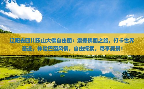 辽阳去四川乐山大佛自由团