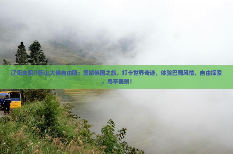 辽阳去四川乐山大佛自由团