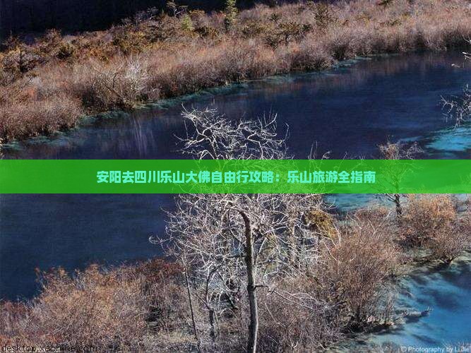 安阳去四川乐山大佛自由行