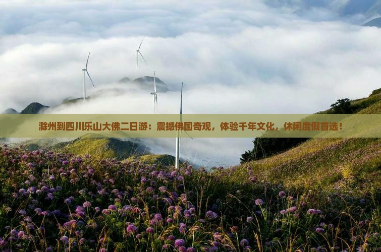 滁州到四川乐山大佛二日游