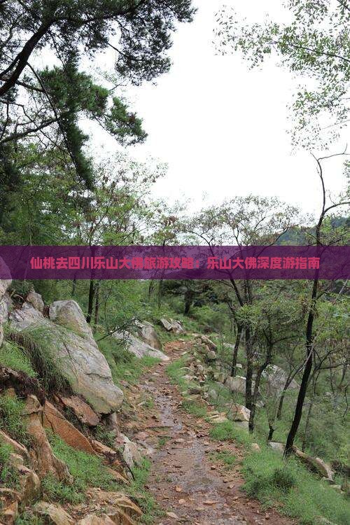 仙桃去四川乐山大佛团体旅游
