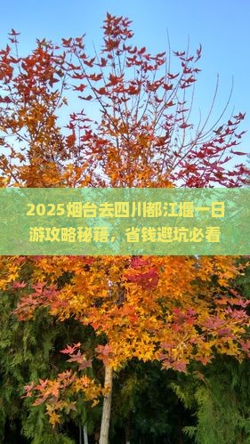 烟台去四川都江堰一日