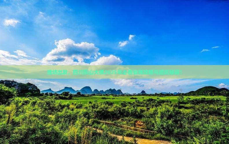 潍坊到四川乐山大佛旅行社