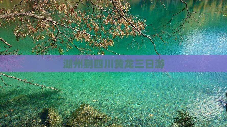 湖州到四川黄龙三日游