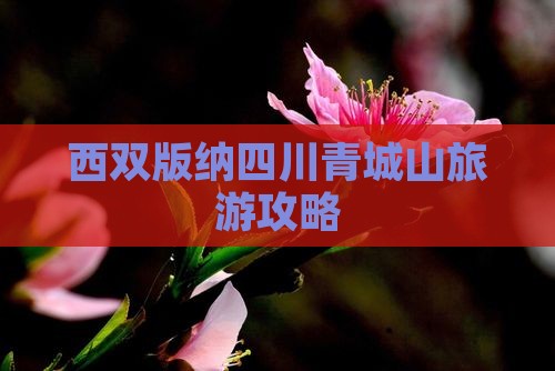 西双版纳去四川青城山团体旅游