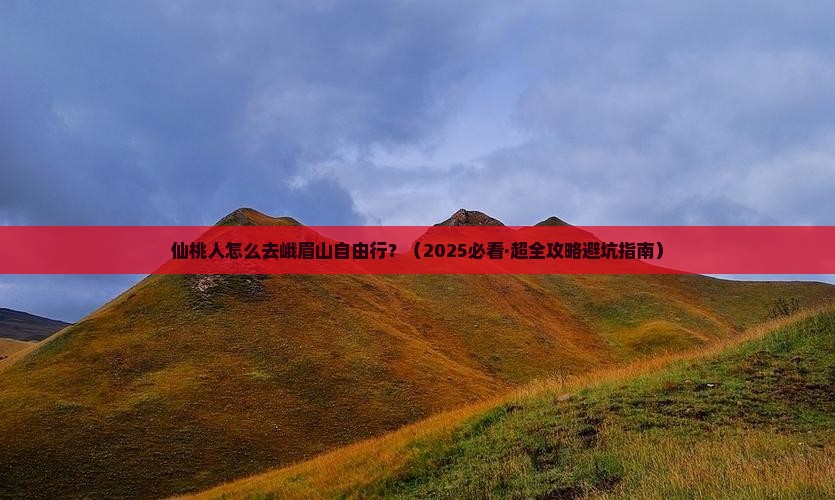 仙桃去四川峨眉山个人游