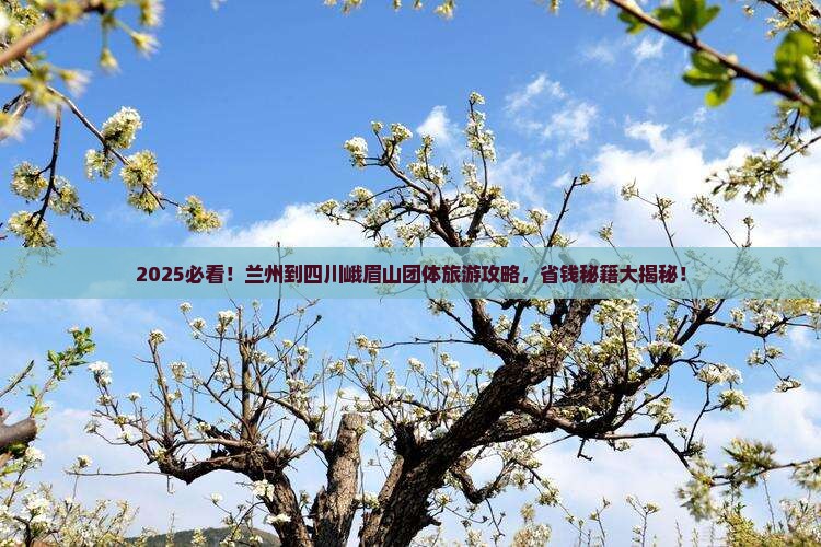 兰州到四川峨眉山团体旅游