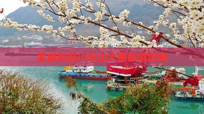 武威到四川乐山大佛个人游