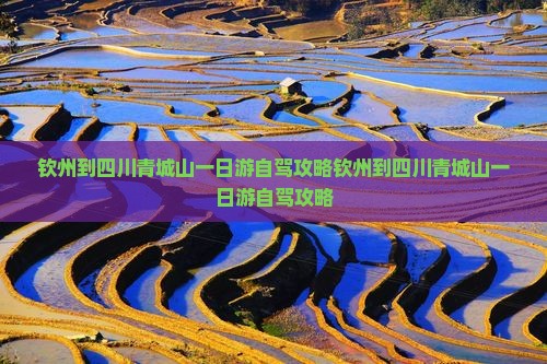 钦州到四川青城山一日