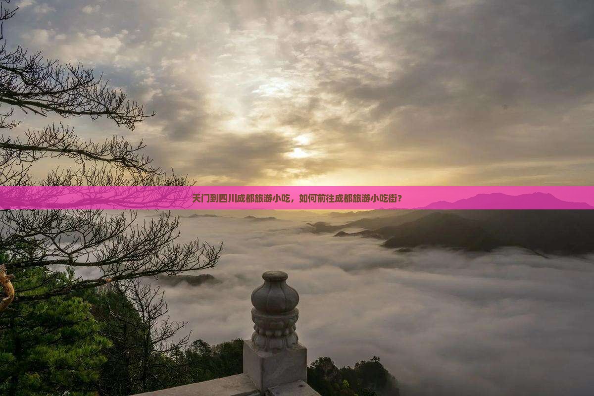 天门到四川成都旅游小吃
