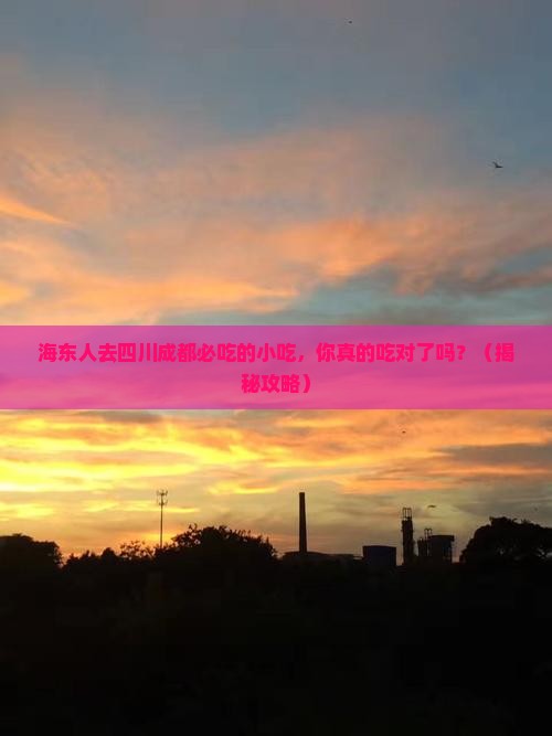 海东去四川成都旅游小吃