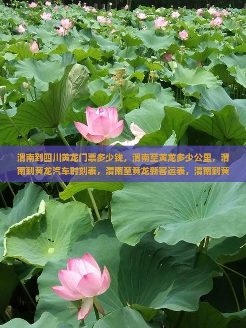 渭南到四川黄龙门票