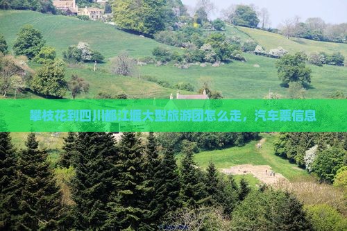 攀枝花到四川都江堰大型旅游团