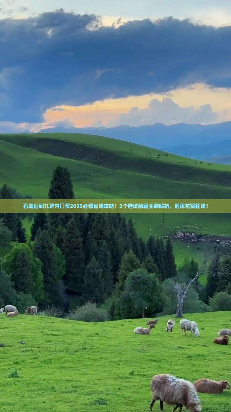 石嘴山到四川九寨沟门票