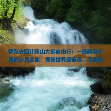 伊犁去四川乐山大佛自由行