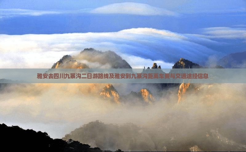 雅安去四川九寨沟二日游