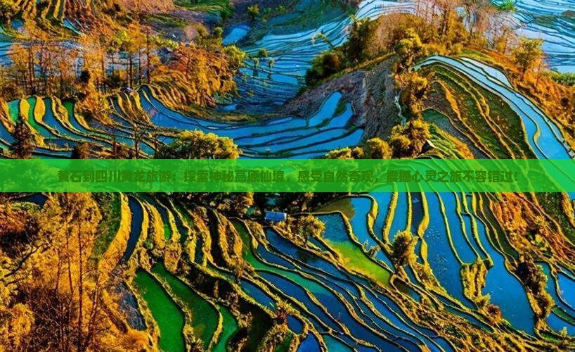 黄石到四川黄龙旅游