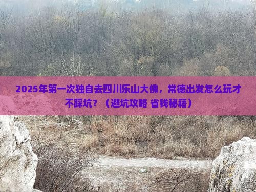 常德到四川乐山大佛个人游