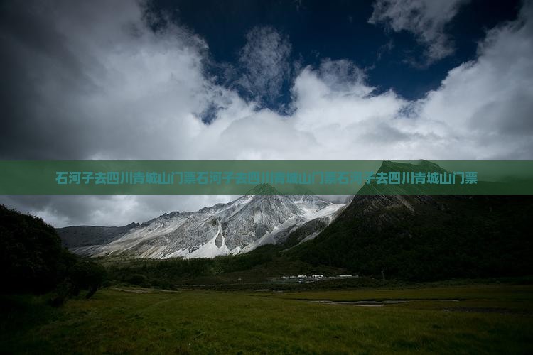 石河子去四川青城山门票