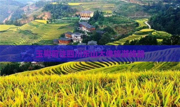 玉树去四川乐山大佛旅行社