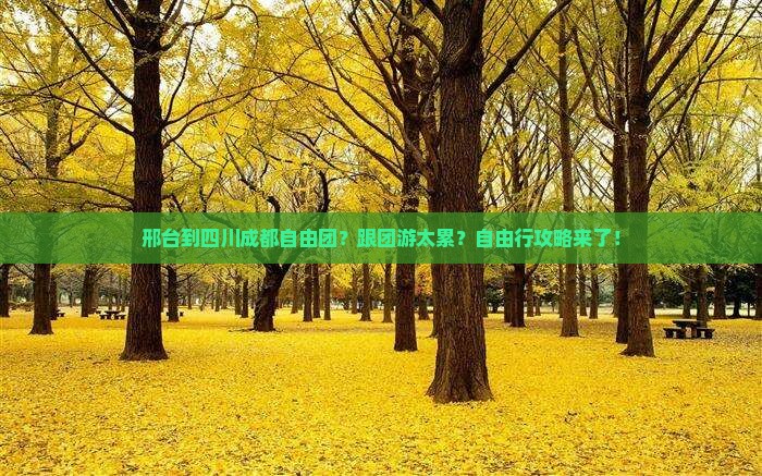 邢台到四川成都自由团