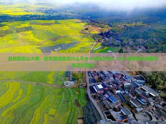 昌都到四川乐山大佛大型旅游团