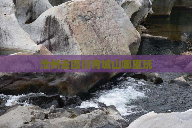 沧州去四川青城山哪里玩