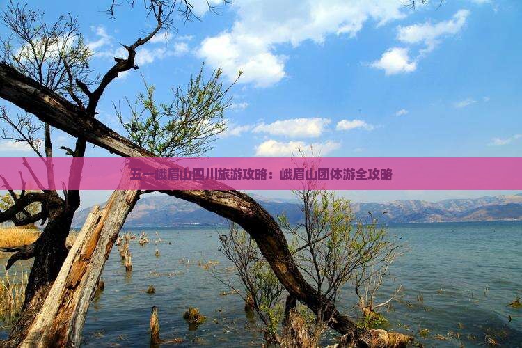 劳动节去四川峨眉山团体旅游