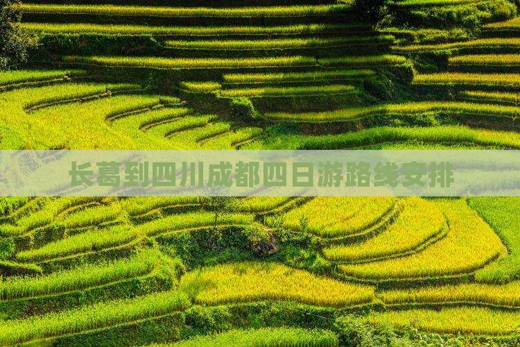 长葛到四川成都四日游