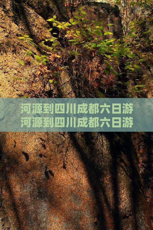 河源到四川成都六日游
