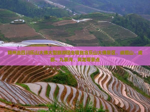 朔州去四川乐山大佛大型旅游团