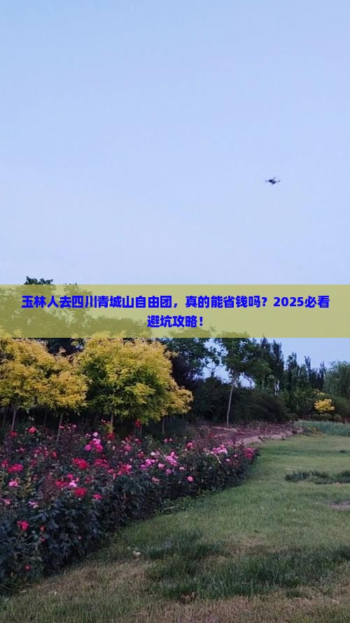 玉林去四川青城山自由团