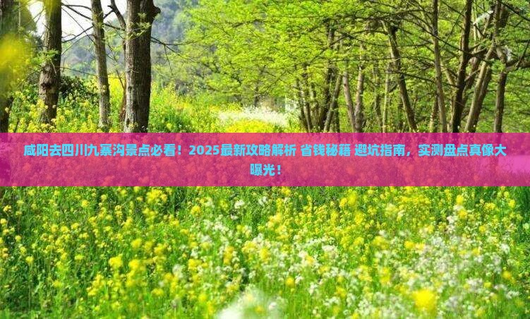 咸阳去四川九寨沟景点