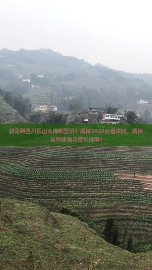 朝阳到四川乐山大佛哪里玩