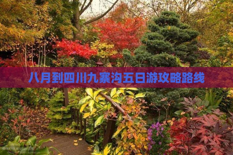 八月到四川九寨沟五日游