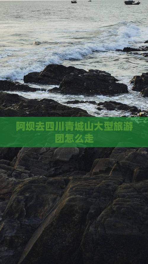 阿坝去四川青城山大型旅游团
