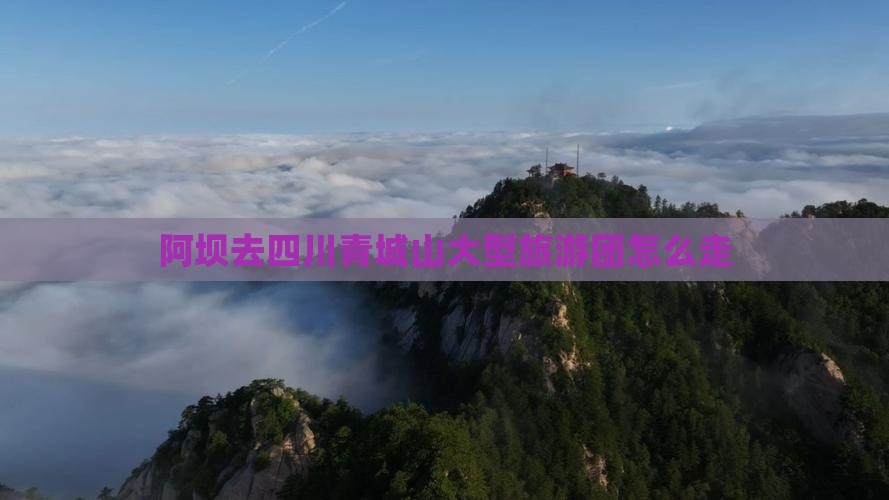 阿坝去四川青城山大型旅游团