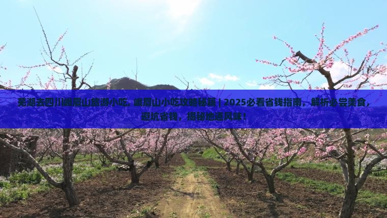 芜湖去四川峨眉山旅游小吃