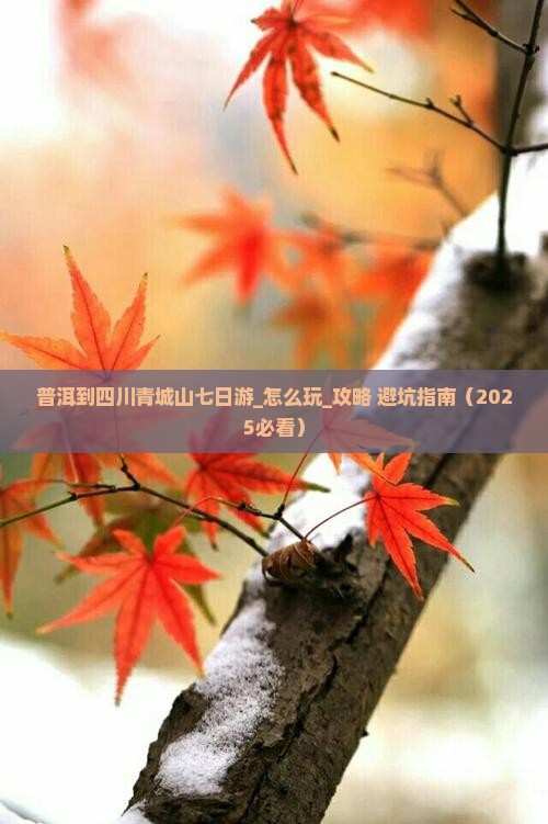普洱到四川青城山七日游