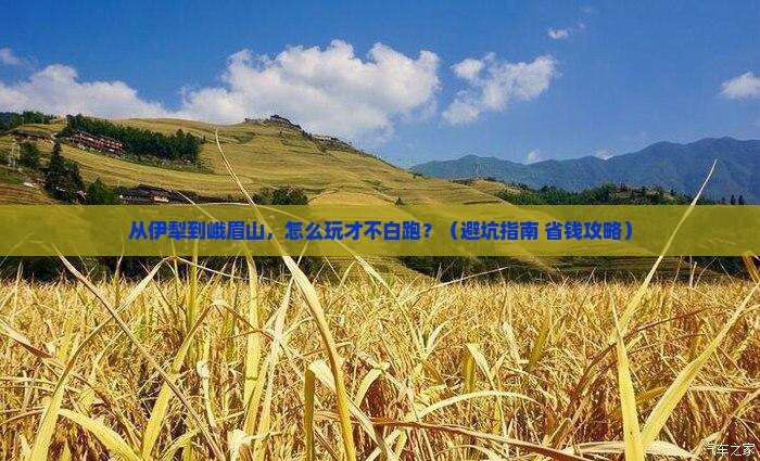 伊犁去四川峨眉山哪里玩