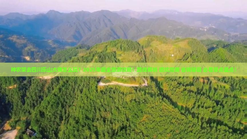 神农架去四川乐山大佛旅游
