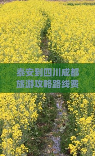 泰安到四川成都旅游