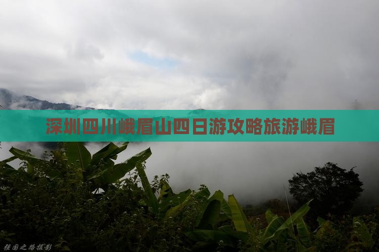深圳去四川峨眉山四日游
