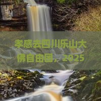 孝感去四川乐山大佛自由团