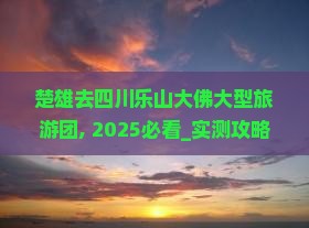 楚雄去四川乐山大佛大型旅游团