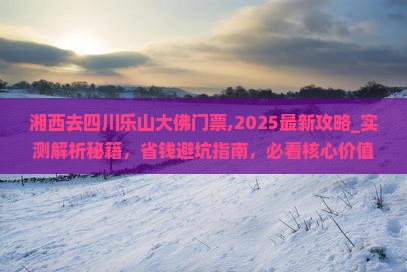 湘西去四川乐山大佛门票