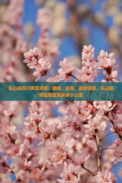 乐山去四川黄龙攻略